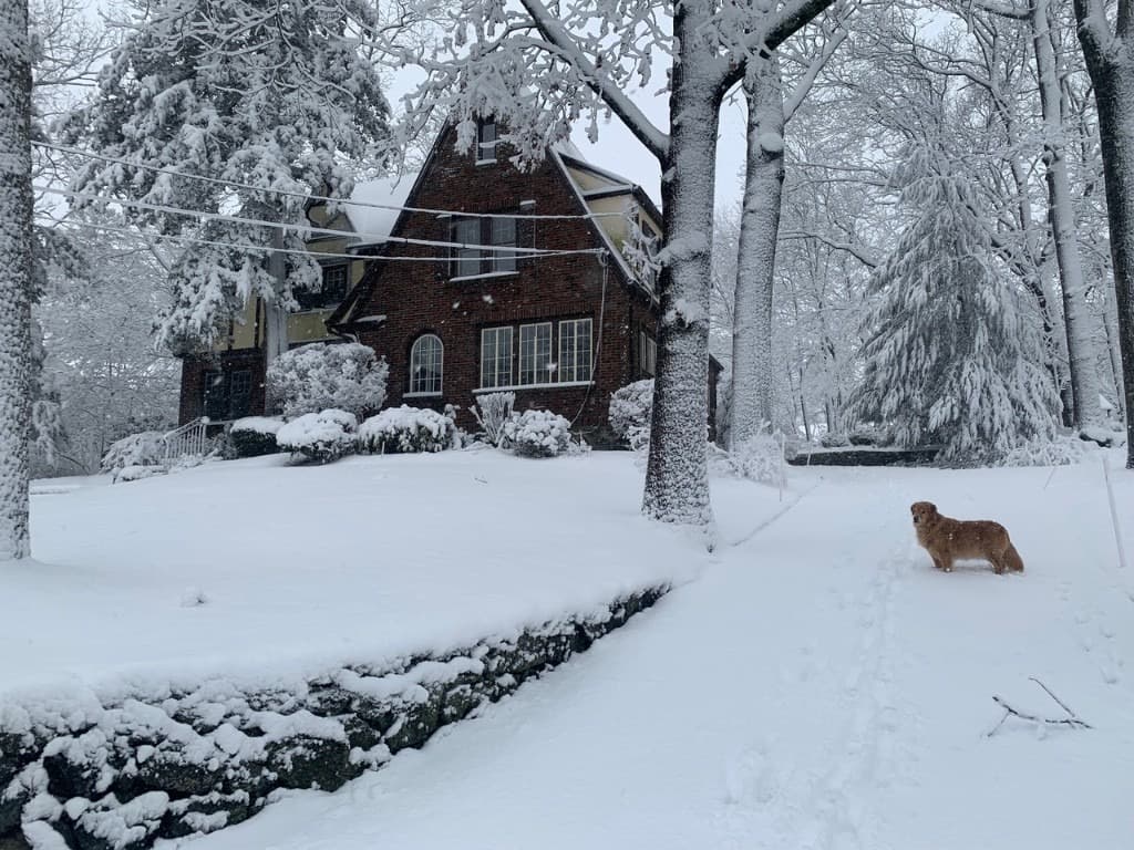 Family home in winter snow with Maisie
